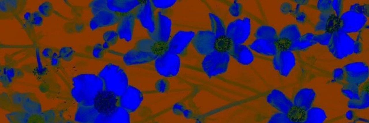 お金_bunny's banner