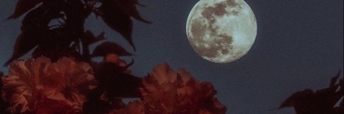 葡萄干🍇's banner