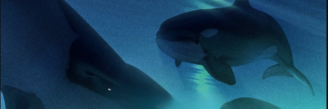 orca's banner
