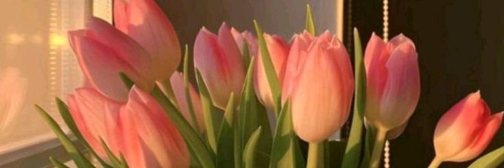 اريج 🧚🏻‍♀️'s banner