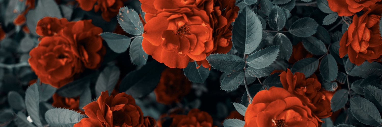 Walker 🥀's banner
