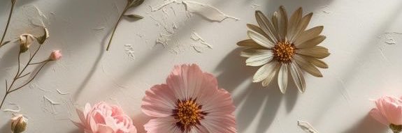 Maya Quinn❤️'s banner