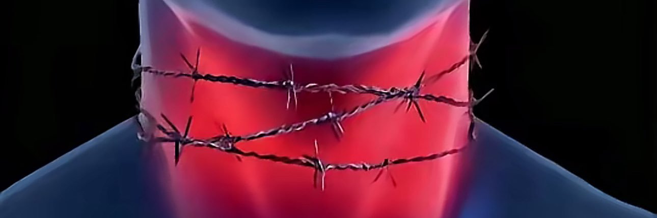 因为宅全点了懒属性's banner
