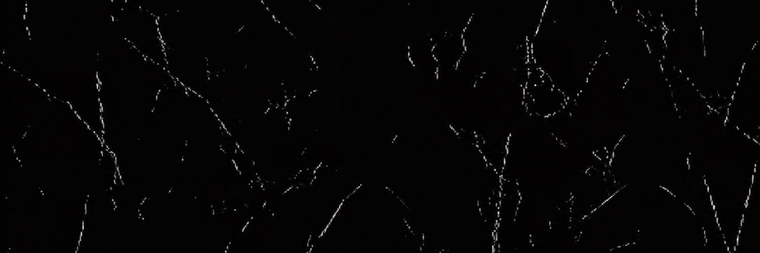 Gone Viral on X's banner