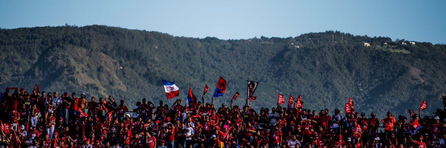 Daniela's banner
