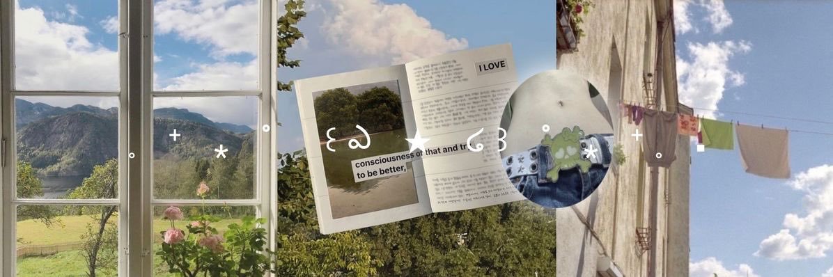 Noorie lova's banner