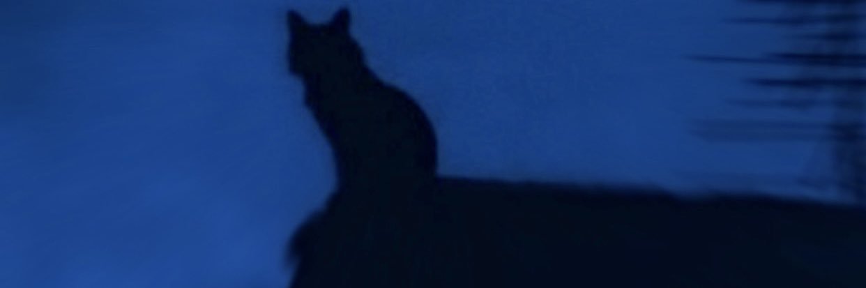 Pretty Boy's banner