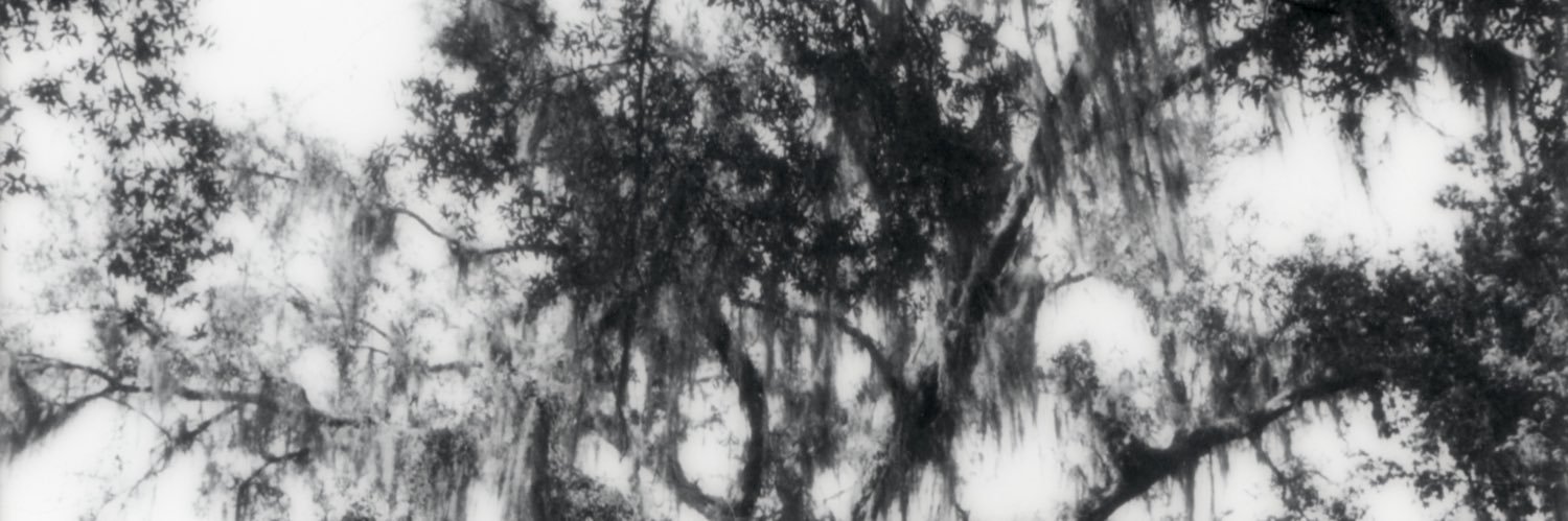 ؘ's banner