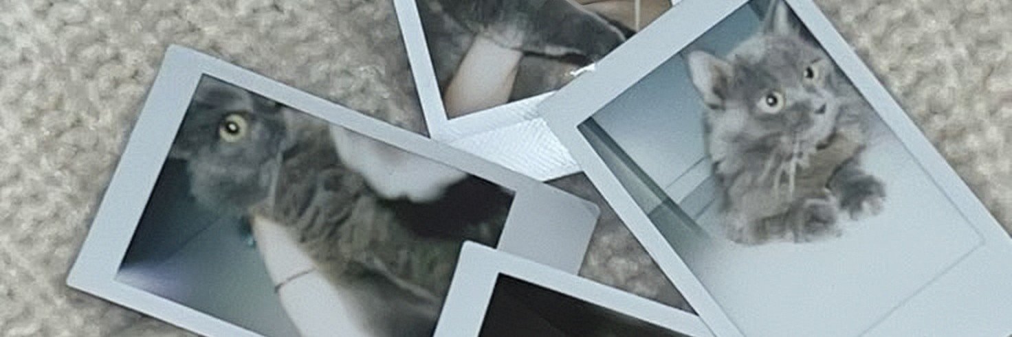 k's banner