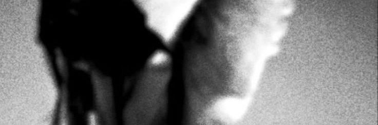Whimsical L🪐✨️⚘️'s banner