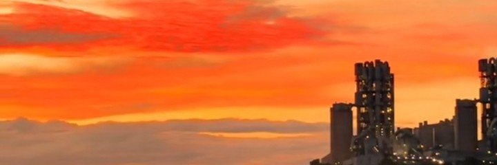 pino's banner