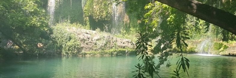 wock's banner