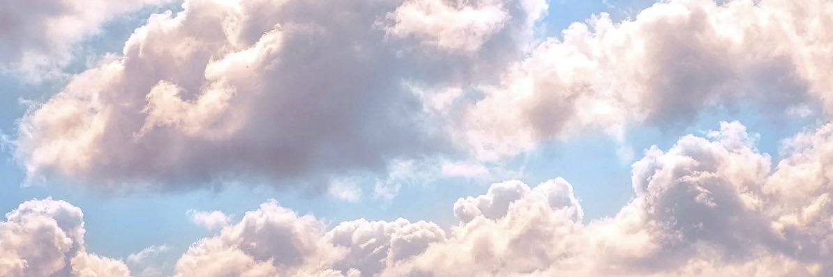 Sarah c's banner
