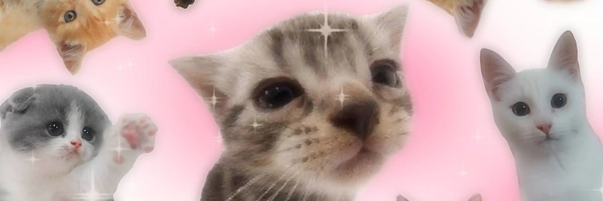 silly and whimsy memes 🍭's banner