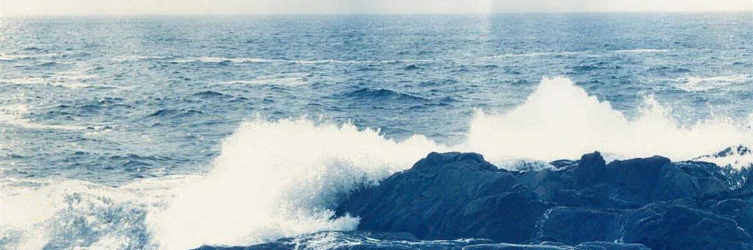 尤零君（重生版）'s banner