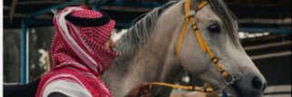 ~ نايف|🎖️'s banner