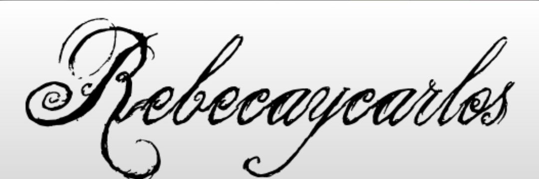 Rebe Mendoza's banner