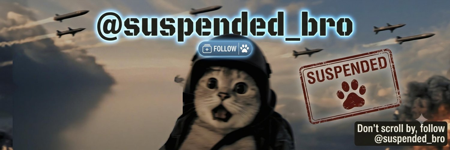 Suspended Bro's banner