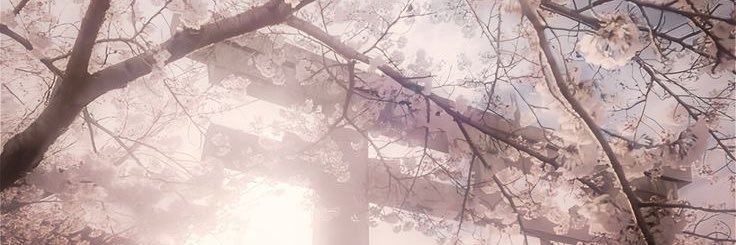 𝙷𝚊𝚒𝚋𝚊𝚛𝚊 𝚂𝚝𝚊𝚝𝚒𝚘𝚗's banner