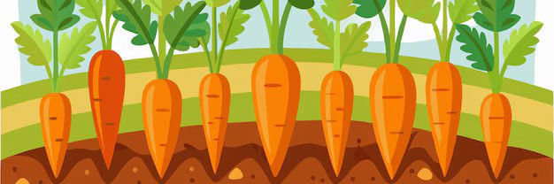baby carrot's banner