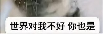 素心's banner