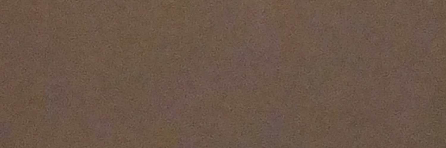 네토의삶's banner