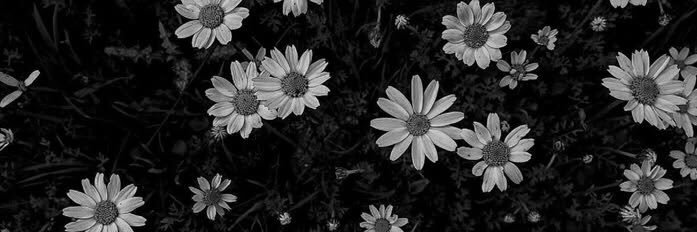 ’'s banner