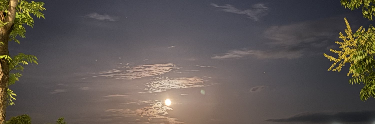 已婚大叔的无套内射肉便器（主号防丢小号2）'s banner