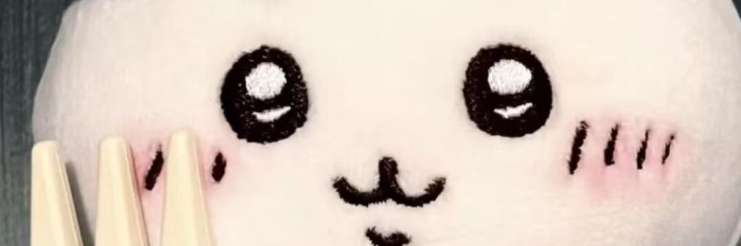 爱睡大觉's banner