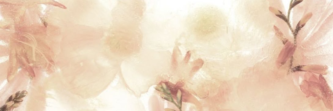 Daily Flops's banner