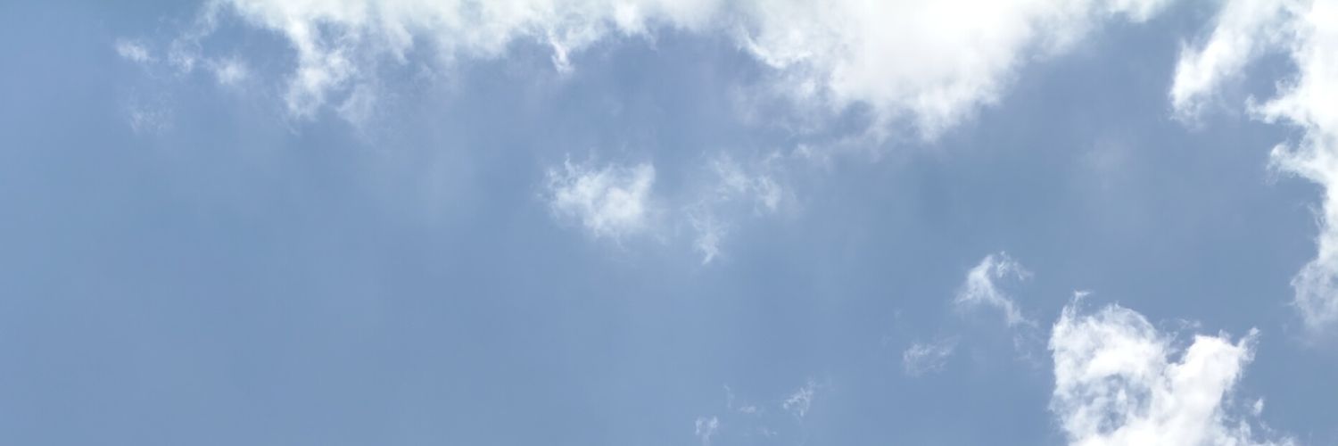Ta's banner