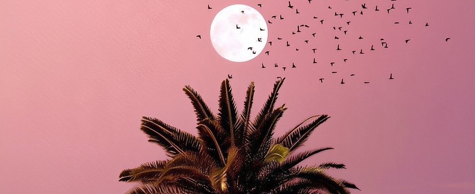 Malena 🎀's banner