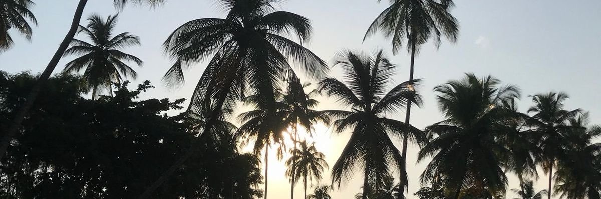 Alessia 💫's banner
