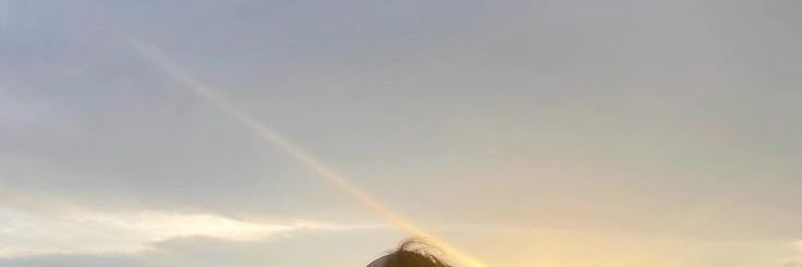 merrymari's banner