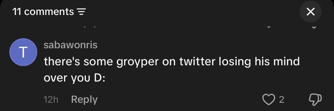 Groyper Curse 2's banner