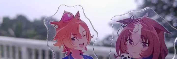 Judy ✧'s banner