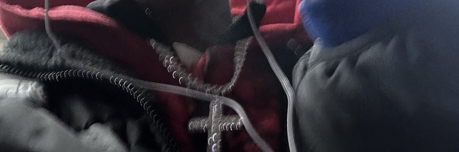 freaknetwork's banner