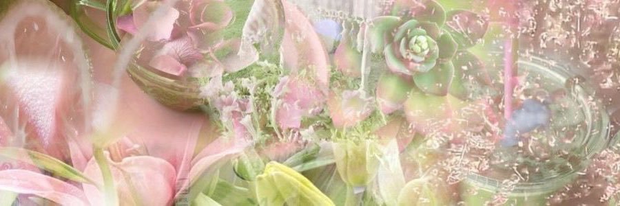 biw 🌸's banner