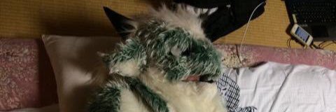 ぐりう😼▶︎？？？'s banner