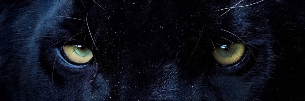 Ateş Karahan's banner