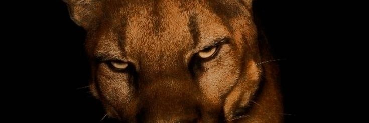 ᮝ𝘶𝘴𝘵𝒂𝘷𝘰's banner