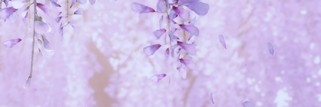 ꫂ❁ Jade 🌸 #juneleb's banner