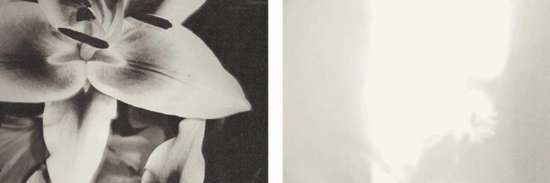 َ's banner
