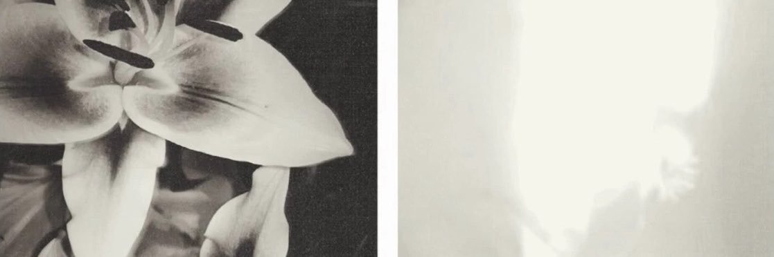 َ's banner