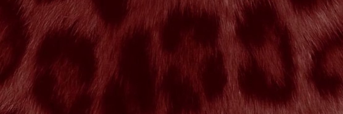 varsha ★༄˖'s banner