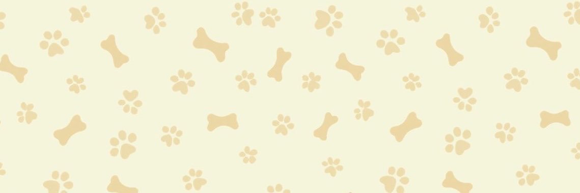🏳️‍⚧️ Your Girl-Boyfriend 🐶's banner