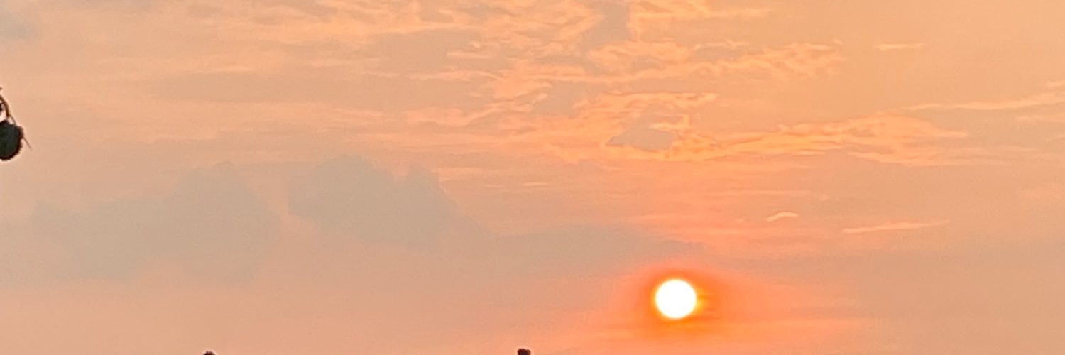 lidocain's banner