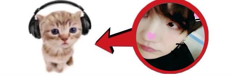 vee's banner