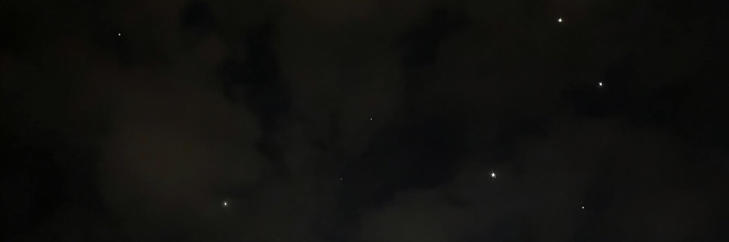 scar's banner