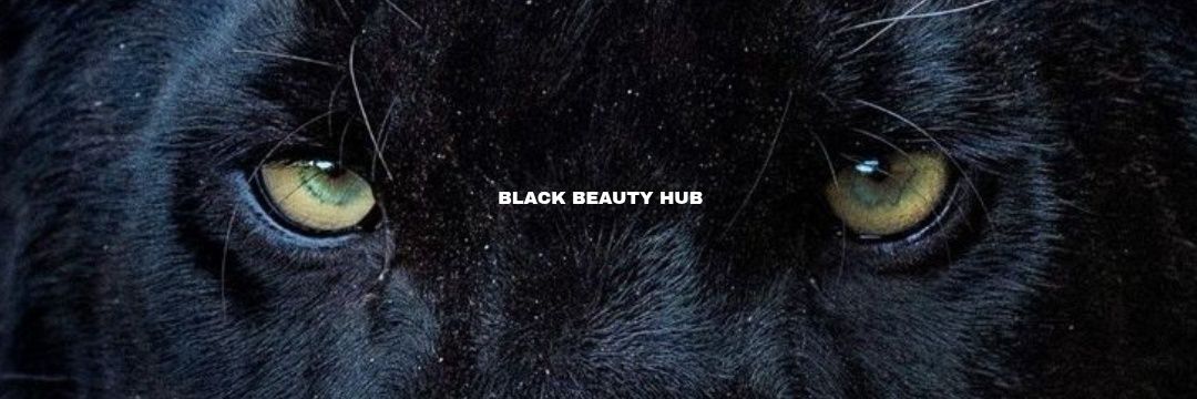 BLACK BEAUTY HUB's banner